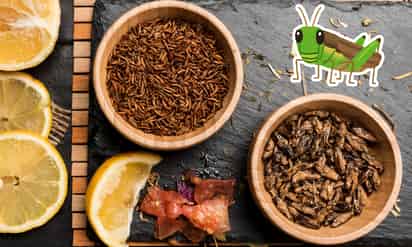 ¿Cuáles son los beneficios de comer chapulines?