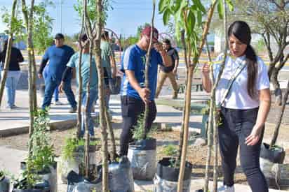 Reforestan Torreón con árboles compensatorios por obras del Sistema Vial Abastos-Independencia