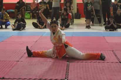Se pudieron observar diversos estilos de artes marciales. (Especial)