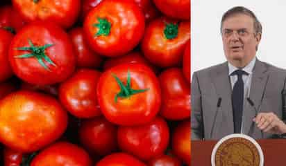 México deberá pagar un arancel del 17% por la exportación del jitomate, confirma Ebrard