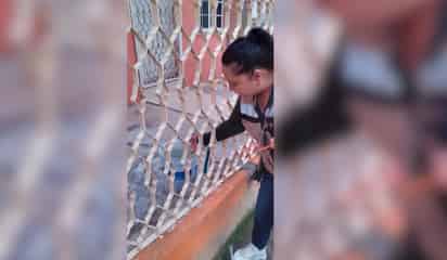 Preocupa a Salud el dengue por las lluvias en la Región Centro