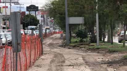 Suman más de 19 mil firmas para frenar tala de árboles en sistema vial Abastos-Independencia