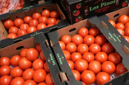 ¿Quiénes son los productores de tomate en Florida que lograron arancel contra México?