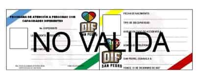 Exhorta DIF San Pedro acudir a tramitar credencial para personas con  discapacidad