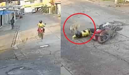 Perro atropella a motociclista (CAPTURA)