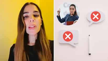 La diputada del PT Diana Karina Barreras Samaniego. (ARCHIVO/ESPECIAL)