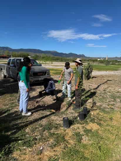 Medio Ambiente de Lerdo planta árboles en UTDL.
