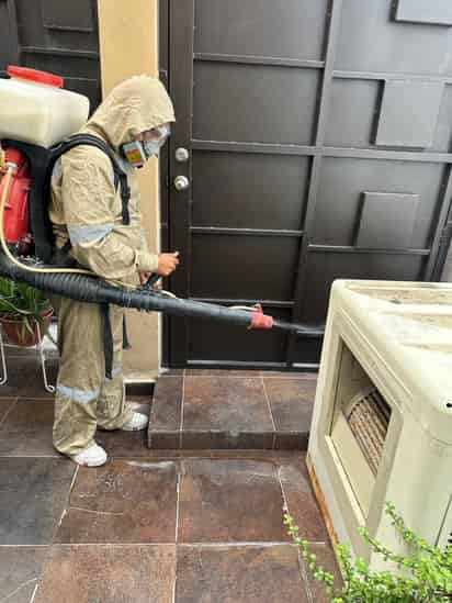 Disminuyen casos de dengue un 86 % en La Laguna