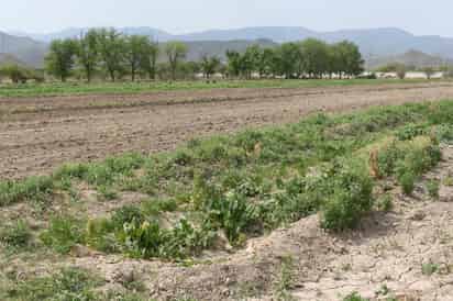 Extracción de agua en la presa Francisco Zarco se ajustará gradualmente. (ARCHIVO)