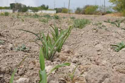 Fermaca Dreams y el gobierno de Durango aseguran que proyectos están en etapas avanzadas de estructuración