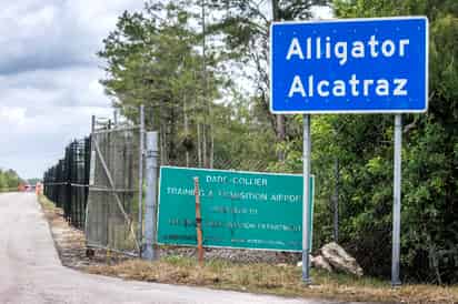 Alligator Alcatraz es un centro de detención de inmigrantes ubicado en los Everglades del sur de Florida, rodeado de la fauna de los Everglades, como caimanes, panteras de Florida y pitones, y serpientes como elemento disuasorio natural. EFE