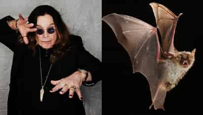 Ozzy Osbourne / Murciélago (ESPECIAL)