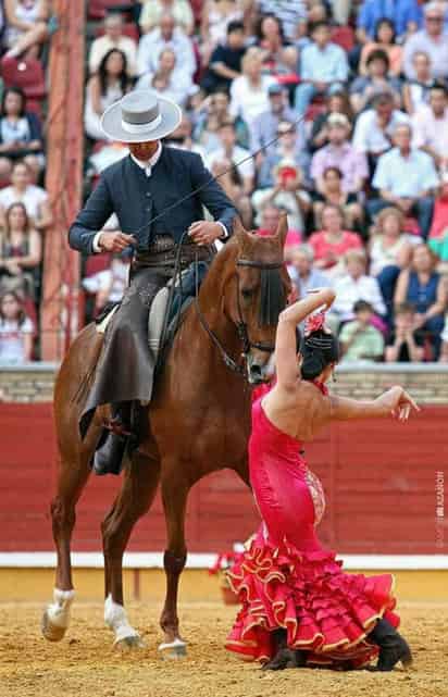 Con más de medio SIGLO de tradición, 'El espectáculo ecuestre más hermoso de México' estará en la Plaza de Toros Alberto Balderas. (Archivo)