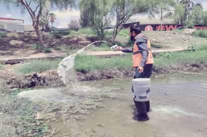 Refuerzan acciones contra el dengue con aplicación de abate líquido en San Pedro
