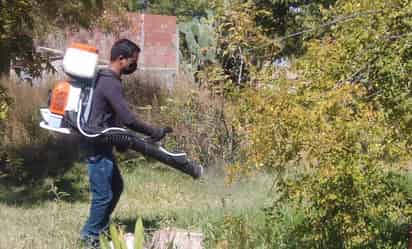 No se registran caso de dengue en Parras, directora de Clínica Municipal