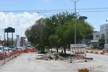 Convocan a protesta este jueves contra tala de árboles en bulevar Independencia de Torreón