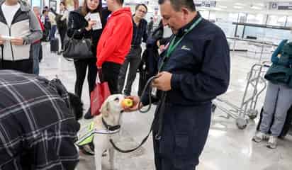 Refuerzan vigilancia sanitaria en vacaciones para proteger a México de plagas y enfermedades
