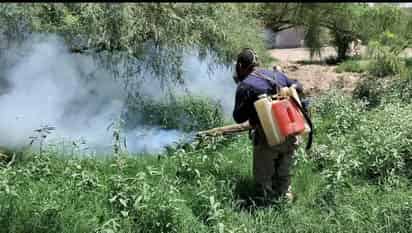 Acciones preventivas contra el dengue son permanentes: director de Salud de San Pedro