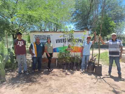 Fortalecen programa de reforestación en San Pedro
