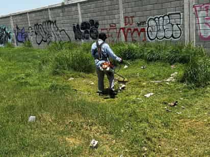 La labor se ha intensificado debido al crecimiento de maleza. (EL SIGLO DE TORREÓN)