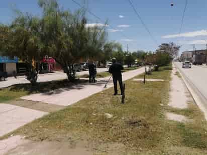Realiza Ayuntamiento labores de limpieza y mejora urbana en el bulevar San Alberto