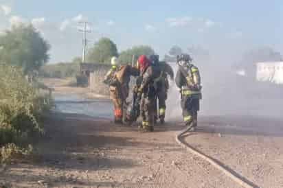 Bomberos atienden reporte de 'ataque' de abejas en San Pedro