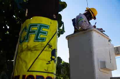 CFE garantiza suministro eléctrico para los próximos 10 años en Torreón y Saltillo