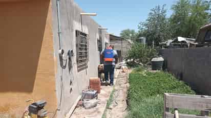 Registran cuatro decesos por picadura de garrapata en La Laguna