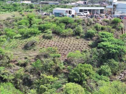 Peñoles impulsa la conciencia ambiental en sus comunidades vecinas