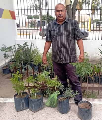 Impulsan adopción de árboles en Gómez Palacio