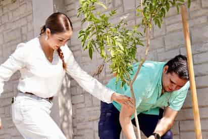 A través del programa 'Torreón más verde', reforestan bulevar Las Quintas