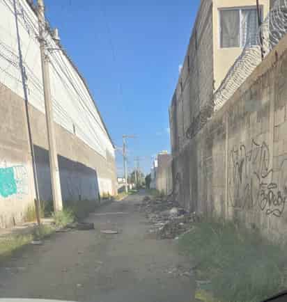 Sin atender, petición de limpieza de calle Rinconada de las Azaleas
