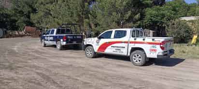 Encuentran sin vida a hombre en un árbol en General Cepeda