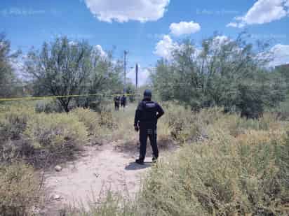 Hallan cráneo y restos óseos en predio baldío de Matamoros