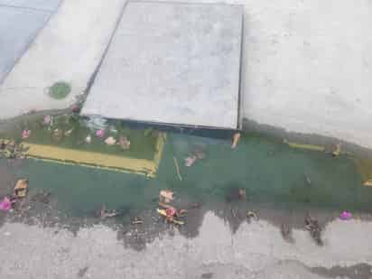 Piden atención a añejo brote de aguas negras en Nueva San Isidro