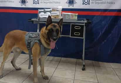 Aseguran paquete con droga en paquetería de Torreón