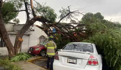 Inundaciones y árboles caídos dejó la lluvia en Ramos Arizpe