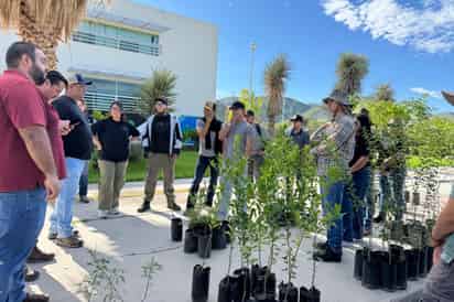 En Lerdo se reforestaron más de cien mil árboles durante la administración