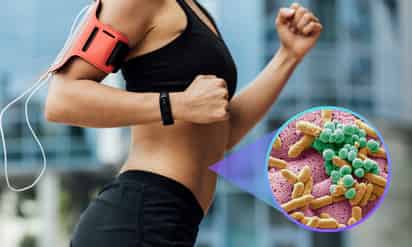 El ejercicio moderado mejora la microbiota y la salud cerebral