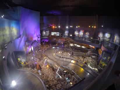 Museo del Desierto en Saltillo: horarios, precios y experiencias que no te puedes perder