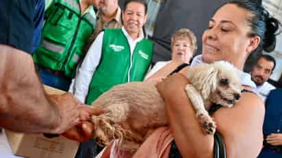 Arranca campaña de vacunación antirrábica, desparasitación y esterilización de mascotas en Matamoros