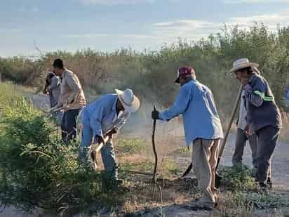 Se beneficia a 1,300 personas de San Pedro en Programa de Empleo Temporal
