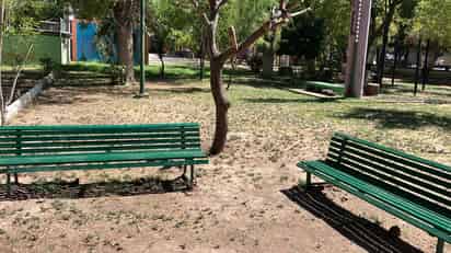 Bosque Venustiano Carranza de Torreón (ARCHIVO)