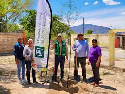 Con 314 árboles, reforestan la Sierra y Cañón de Jimulco