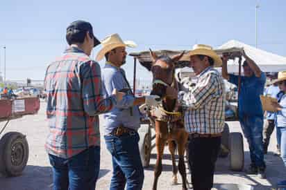 Promueven servicio de recolectores autorizados para erradicar el uso de tracción animal