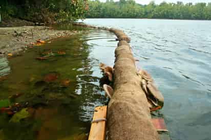magen: Facebook/ TeslaNova. Micofiltros para el agua.