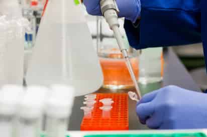 Coahuila, con positividad de sarampión de 21.9 por cada 100 muestras procesadas