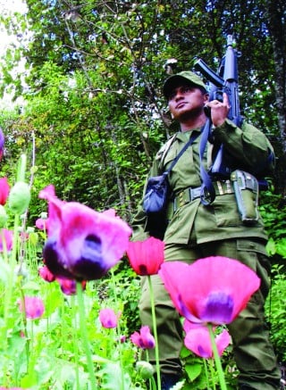 El narcotráfico que se da en la Sierra es uno de los principales motivos por los que se registran incendios, aspecto que está afectando seriamente a los productores forestales.