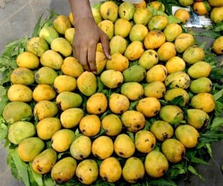 To Be Natural, una empresa familiar que opera desde hace diez años y que se dedica a deshidratar frutas y verduras completamente naturales sin colorante, ni sabores artificiales. (Archivo)