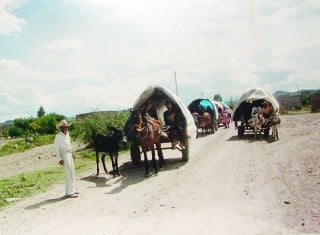 1.-Tradicional peregrinación en carretones desde la Sierra de Jimulco hasta el templo de San Antonio en la ciudad de Cuencamé.
2.-El Señor de Mapimí, esta colocado en un retablo barroco de mediados del siglo XVIII, y está adornado con hojarasca, hoja de canto, tomados de la época clásica de los griegos, el remate esta terminado en roleos, características del espite, hace juego de luz y sombra debido a la pequeña ventanilla en la parte superior donde esta entrando el Espíritu Santo, consta de cuatro columnas estipites que son una especie de pirámides invertidas, que representan a un hombre con sus dos piernas juntas, el cubo representa el pecho a partir de la cintura, la parte de arriba es la cabeza con terminación corintio por tener las hojas a canto hacia arriba.